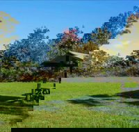 Tunks Hill picnic area - SA Accommodation
