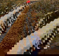 Warringine Park  Bittern Coastal Wetlands Boardwalk - SA Accommodation