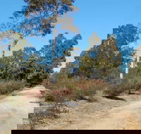 Werakata National Park - SA Accommodation
