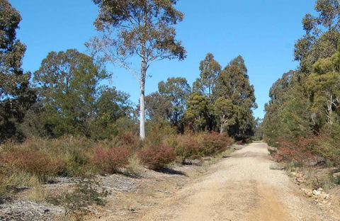 Werakata National Park - SA Accommodation 0