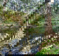 Woko National Park - SA Accommodation