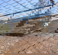 Aboriginal Carvings - SA Accommodation