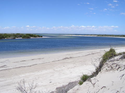 Acraman Creek Conservation Park - SA Accommodation 0
