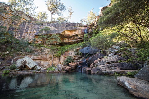 Blackdown Tableland National Park - SA Accommodation 1
