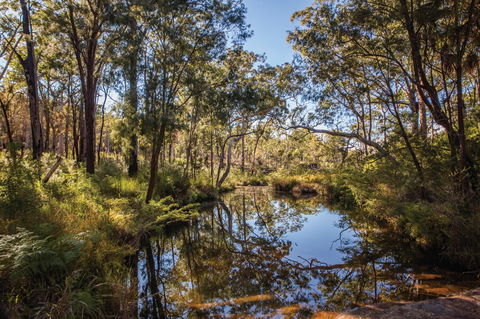 Blackdown Tableland National Park - SA Accommodation 2