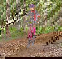 Bom Bom State Forest Mountain Bike Trails - SA Accommodation