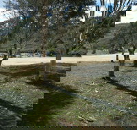 Bombala Platypus Reserve - SA Accommodation