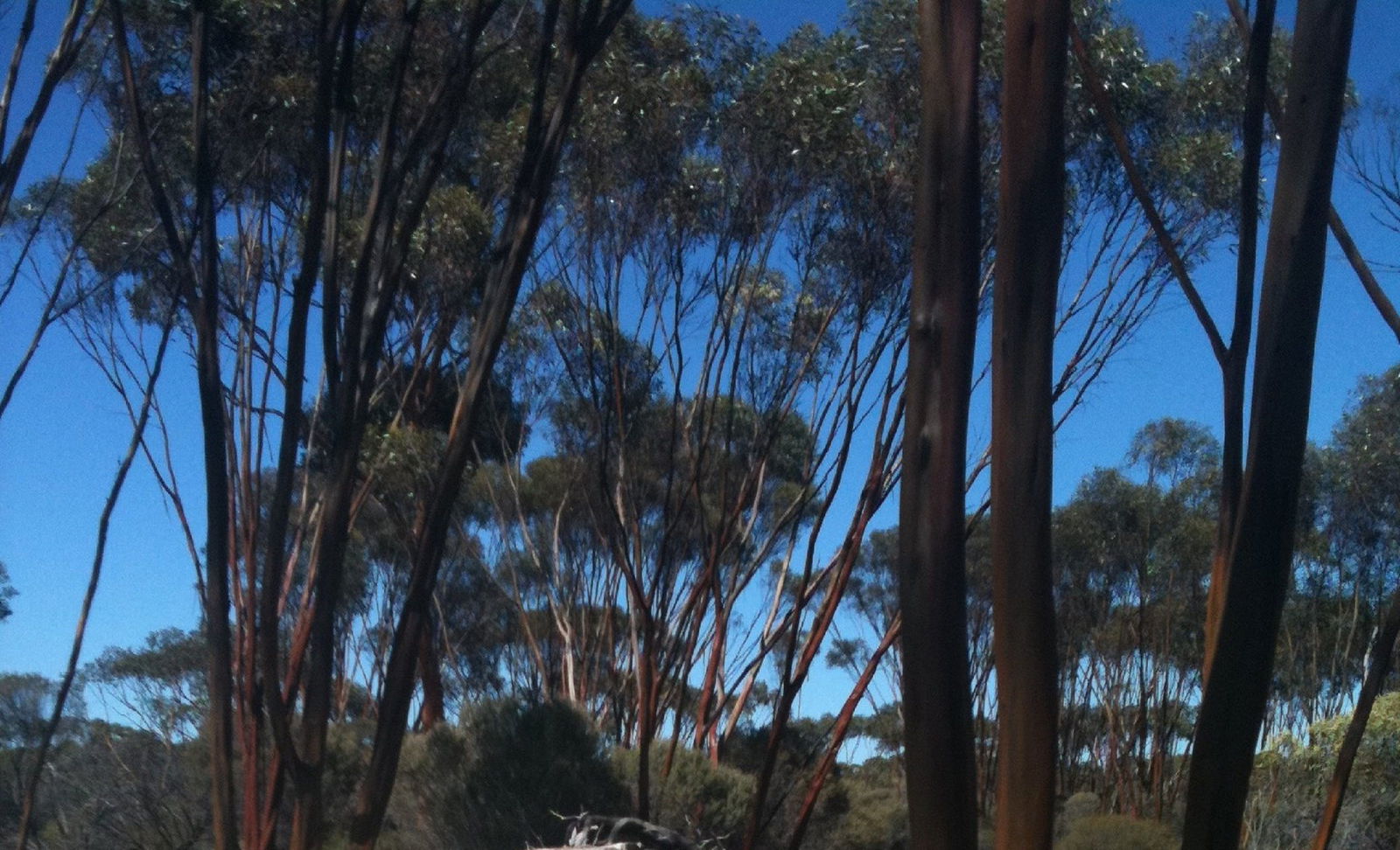 Mount Wells WA SA Accommodation