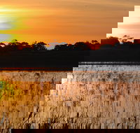 Bool Lagoon Game Reserve and Hacks Lagoon Conservation Park - SA Accommodation