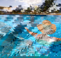 Boulia Sports and Aquatic Centre - SA Accommodation