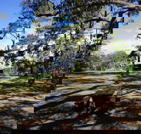 Bowen Mountain Park - SA Accommodation