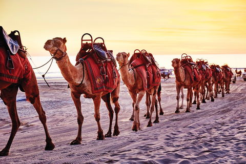 Broome And The Kimberley Coast - SA Accommodation 0