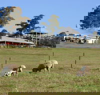 Calmsley Hill City Farm - SA Accommodation