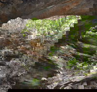 Cave Creek Walking Track - SA Accommodation