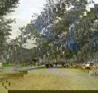 Chaelundi National Park - SA Accommodation