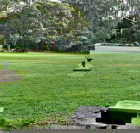 Cottonwood Glen Picnic Area - SA Accommodation