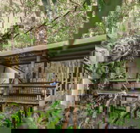 Daisy Hill Koala Centre - SA Accommodation
