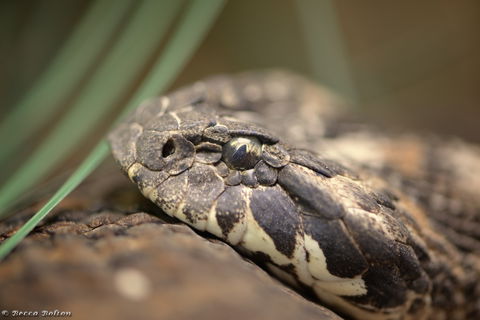 Discover Deadly - SA Accommodation 0