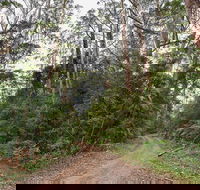 End Peak walking track - SA Accommodation
