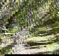 Euglah Rock Walking Track - SA Accommodation