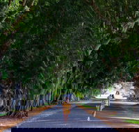 Fig Tree Avenue - SA Accommodation