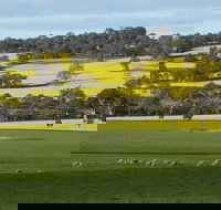 Fini Olives - SA Accommodation