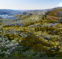 Gold Coast Hinterland Great Walk - SA Accommodation