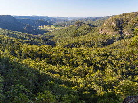 Gold Coast Hinterland Great Walk - SA Accommodation 0