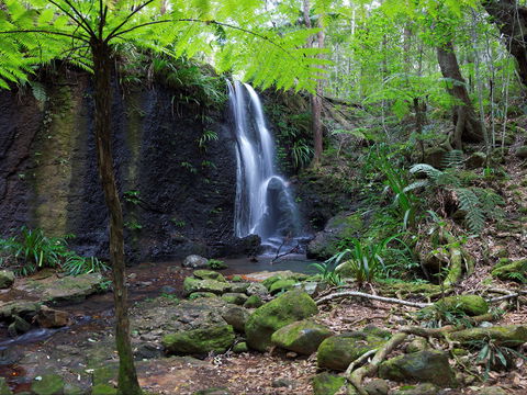 Gold Coast Hinterland Great Walk - SA Accommodation 1