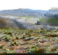 Horseshoe Rim 4WD Adventure Track - SA Accommodation