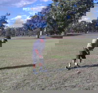 Inverell Golf Club - SA Accommodation