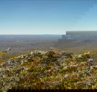 Jerrawangala National Park - SA Accommodation