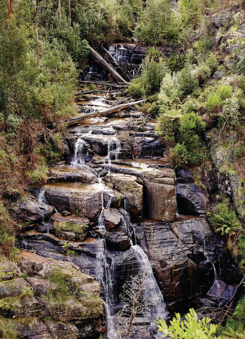 Kinglake National Park - SA Accommodation 1