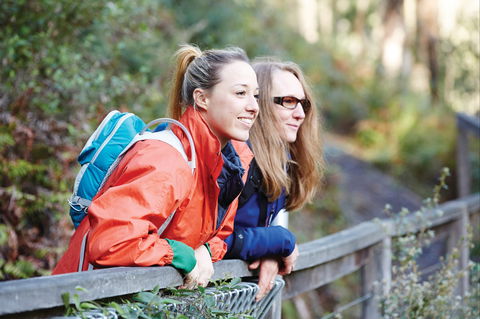 Kinglake National Park - SA Accommodation 2