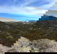 Kosciuszko National Park Charlottes Pass to Snowy River - SA Accommodation