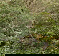 Lind National Park - SA Accommodation