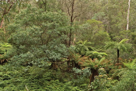Lind National Park - SA Accommodation 0