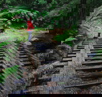 Montezuma Falls - SA Accommodation