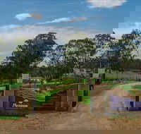 Moorebank Vineyard - SA Accommodation