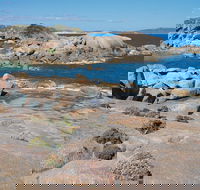 Nanarup Beach - SA Accommodation