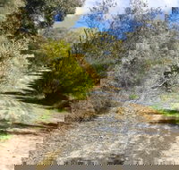 Naracoorte North Nature Park - SA Accommodation