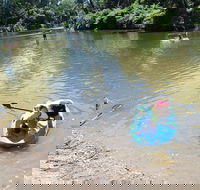Neurum Creek Campgrounds - SA Accommodation