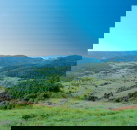 Numinbah Section Springbrook National Park - SA Accommodation