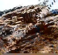 Rock Climbing in Morialta - SA Accommodation