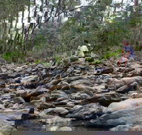 Rocksberg Park Heritage Reserve - SA Accommodation