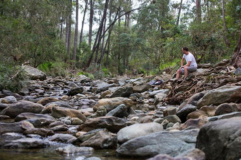 Rocksberg Park Heritage Reserve - SA Accommodation 0