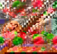 Sciencentre - SA Accommodation