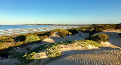 Shelly Beach Dune Walk Trail - SA Accommodation 0