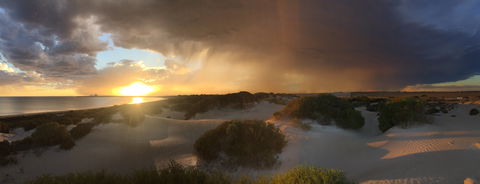 Shelly Beach Dune Walk Trail - SA Accommodation 2