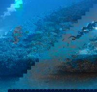 The Zanoni Wreck - SA Accommodation